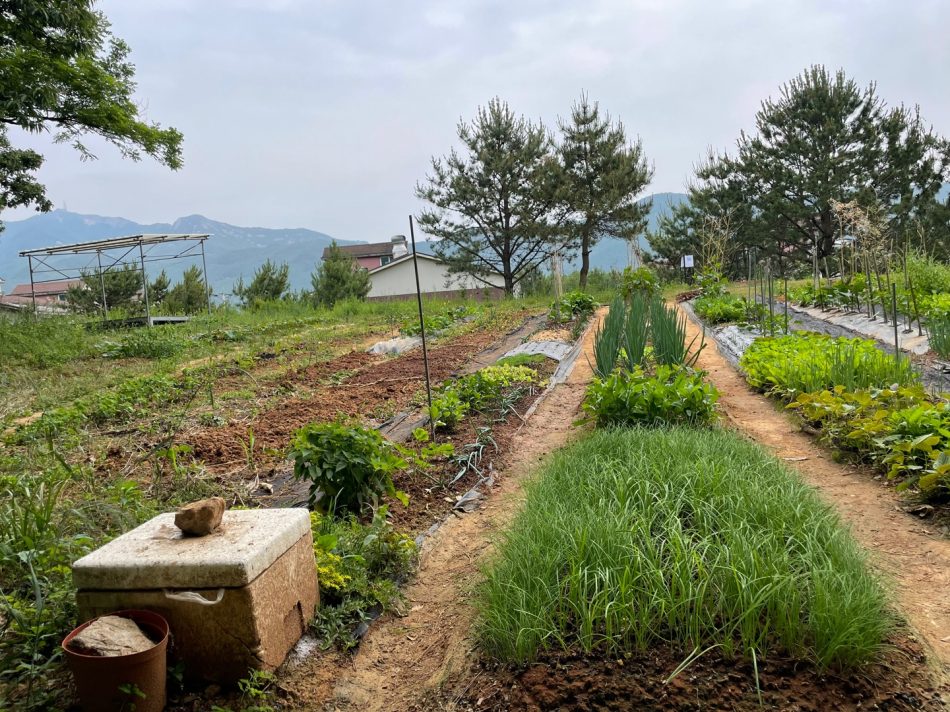 텃밭 이름표 만들기5